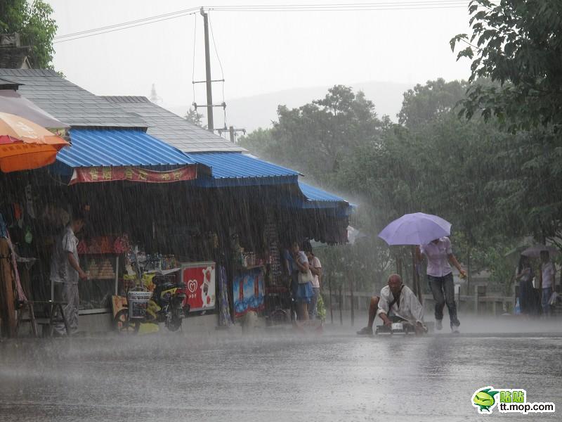 蘇州最美女孩暴雨中為殘疾乞丐撐傘