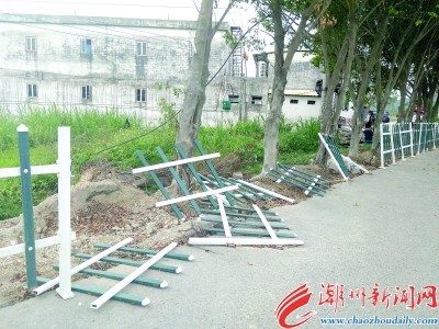 意東三路沿路護(hù)欄“很受傷”.jpg 意東三路沿路護(hù)欄“很受傷”.jpg